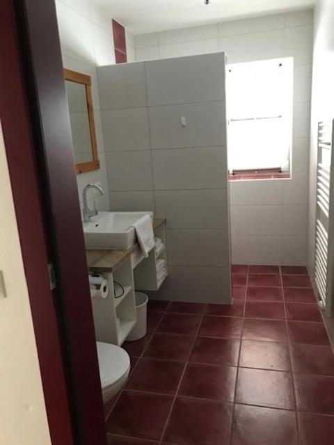 Appartement Zum Roessl Ramsau am Dachstein Εξωτερικό φωτογραφία