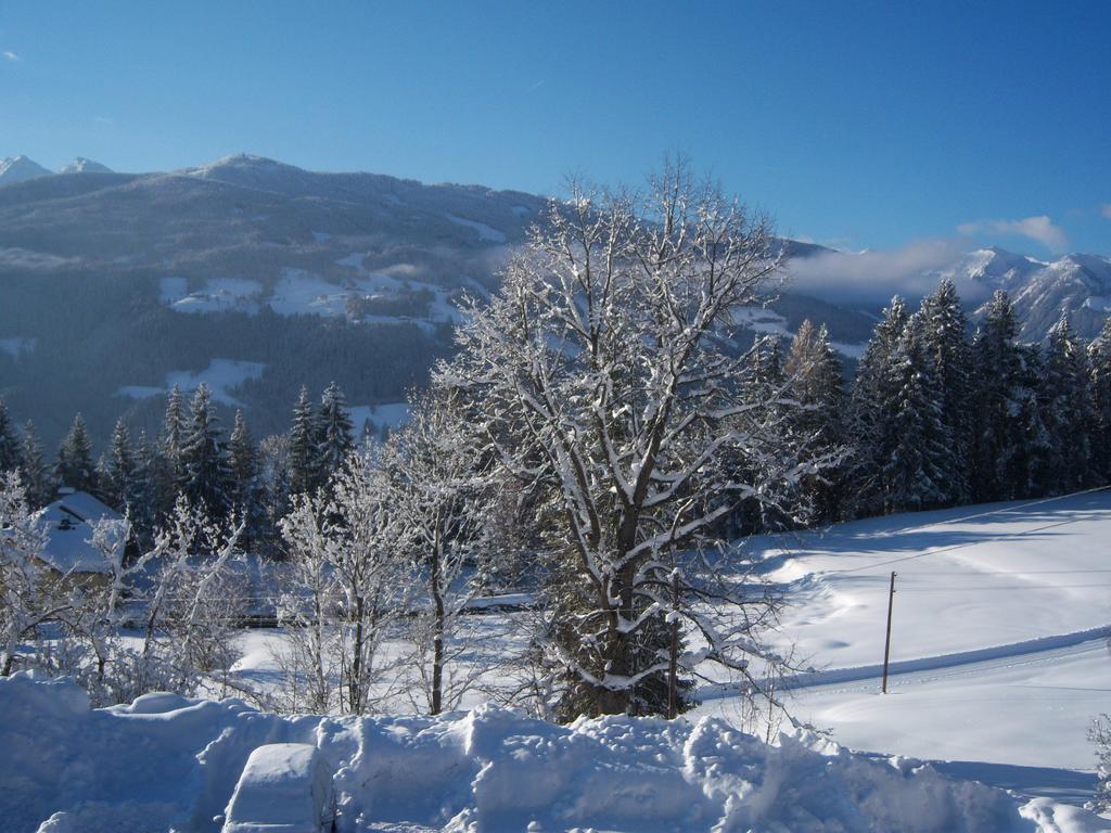 Appartement Zum Roessl Ramsau am Dachstein Δωμάτιο φωτογραφία
