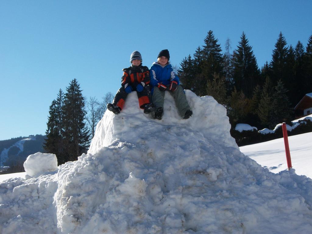 Appartement Zum Roessl Ramsau am Dachstein Εξωτερικό φωτογραφία