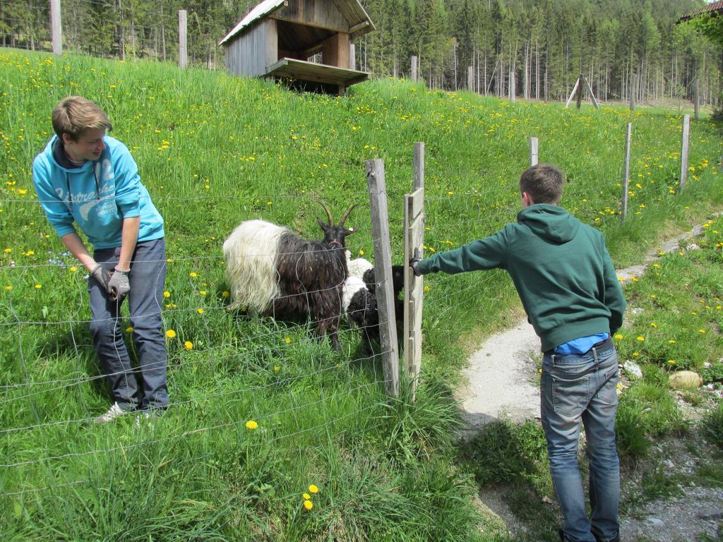 Appartement Zum Roessl Ramsau am Dachstein Εξωτερικό φωτογραφία