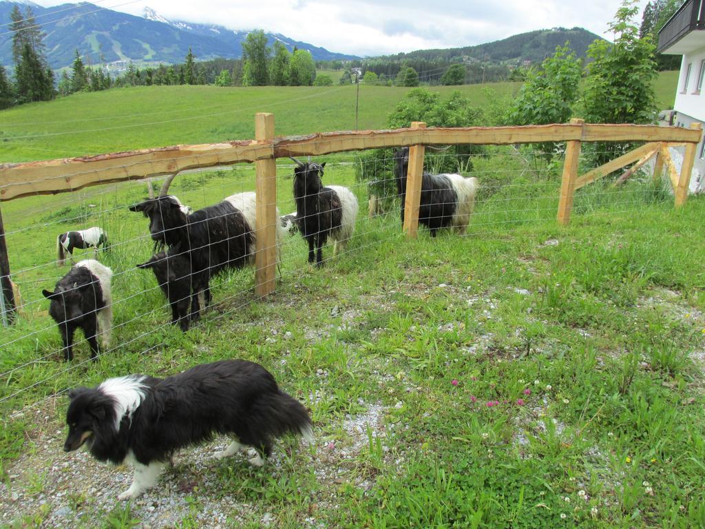 Appartement Zum Roessl Ramsau am Dachstein Εξωτερικό φωτογραφία