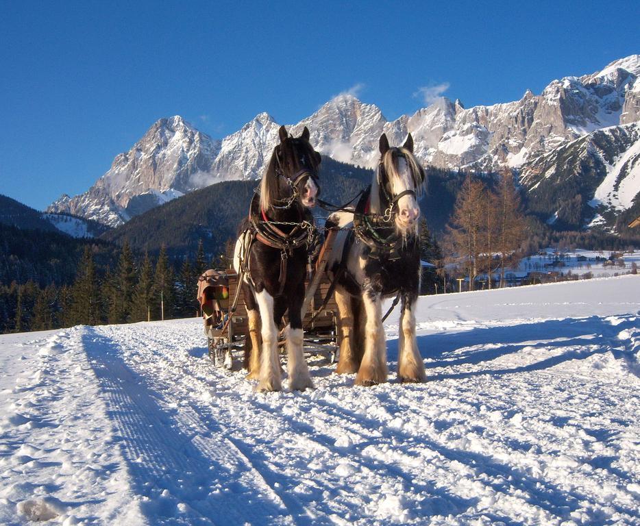 Appartement Zum Roessl Ramsau am Dachstein Εξωτερικό φωτογραφία